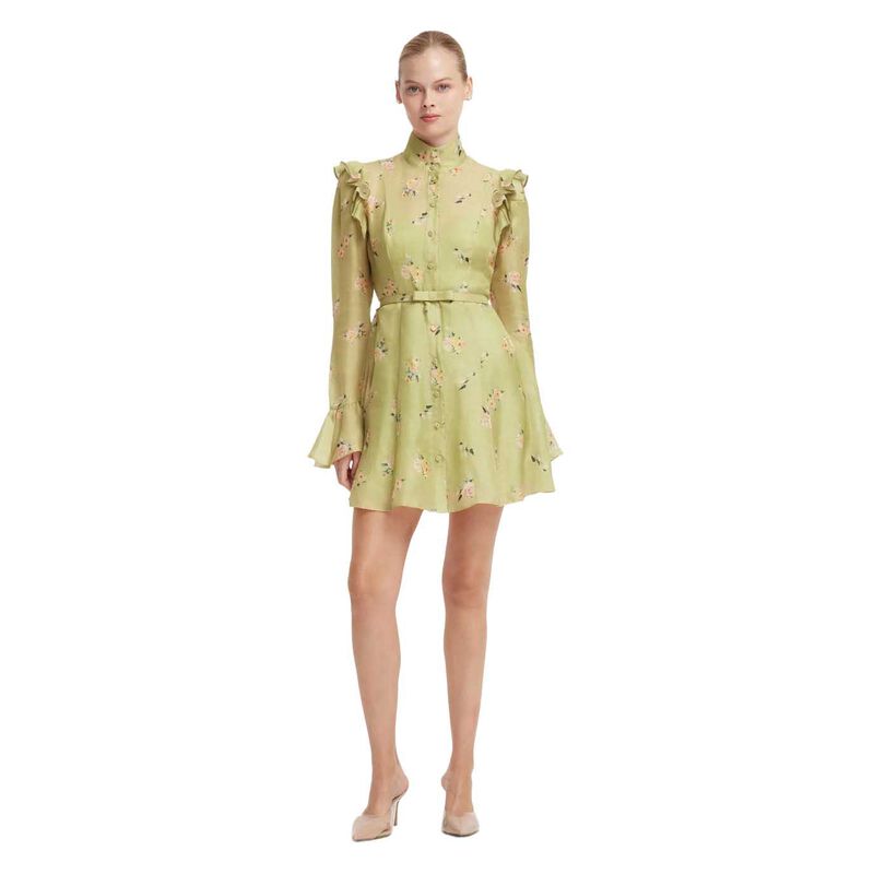 LEO LIN Kristy Butterfly Sleeve Mini Dress - Pistachio Rose Print image number 0
